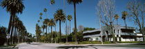 Palm trees along the road, Beverly Hills, Los Angeles County, California, USA von Panoramic Images