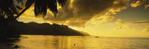 Silhouette Of Palm Trees At Dusk, Cooks Bay, Moorea, French Polynesia by Panoramic Images