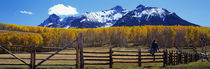 Panorama Print - Last Dollar Ranch, Ridgeway, Colorado, USA von Panoramic Images