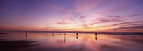 Group of people watching the sunset, San Francisco, California, USA by Panoramic Images