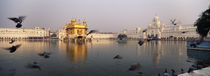 Reflection of a temple in a lake, Golden Temple, Amritsar, Punjab, India by Panoramic Images