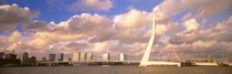 Netherlands, Holland, Rotterdam, Erasmus Bridge von Panoramic Images