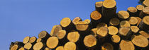 Stack of wooden logs in a timber industry, Austria by Panoramic Images