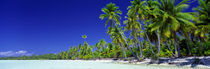 Panorama Print - Strand mit Palmen, Bora Bora, Tahiti von Panoramic Images