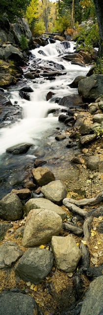 Lee Vining, Mono County, California, USA by Panoramic Images