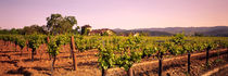 Sattui Winery, Napa Valley, California, USA by Panoramic Images