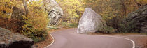 Road curving around a big boulder, Stowe, Lamoille County, Vermont, USA by Panoramic Images
