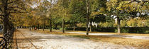 Autumnal trees in a park, Hofgarten, Munich, Bavaria, Germany by Panoramic Images