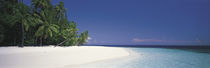 White Sand Beach Maldives by Panoramic Images
