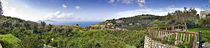 Town on a hillside, Massa Lubrense, Capri, Naples, Campania, Italy by Panoramic Images