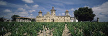 Saint-Estephe, Bordeaux, Gironde, Graves, France by Panoramic Images