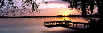 Panorama Print - Sonnenaufgang über dem  Whippoorwill See, Orlando, Florida, USA von Panoramic Images