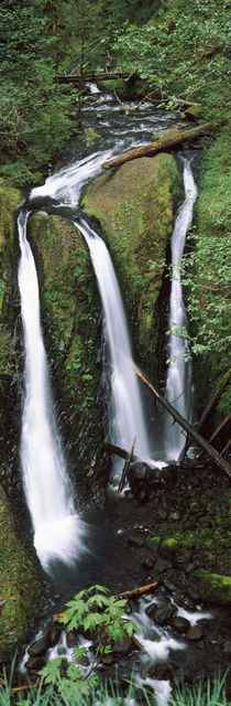 Columbia River Gorge, Oregon, USA by Panoramic Images