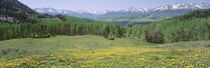  San Miguel Range, Telluride, Colorado, USA von Panoramic Images