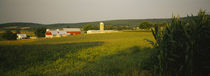Crop in a field, Frederick County, Virginia, USA von Panoramic Images