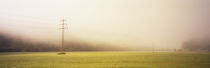 Power lines in a field, Baden-Wurttemberg, Germany by Panoramic Images