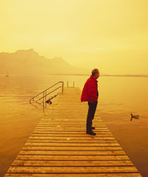 Side profile of a mid adult man standing on a pier, Austria by Panoramic Images