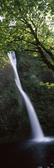 Larch Mountain, Hood River, Columbia River Gorge, Oregon, USA by Panoramic Images