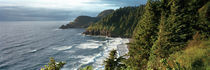 High angle view of a coastline, Heceta Head Lighthouse, Oregon, USA by Panoramic Images