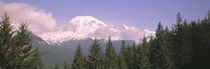 Mt Ranier Mt Ranier National Park WA von Panoramic Images