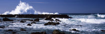 Rock formations at the sea, Three Tables, North Shore, Oahu, Hawaii, USA by Panoramic Images