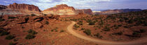 Desert Road, Utah, USA von Panoramic Images