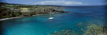 Sailboat in the bay, Honolua Bay, Maui, Hawaii, USA by Panoramic Images