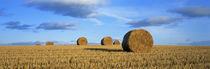 Hay Bales, Scotland, United Kingdom von Panoramic Images