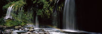 Rainbow formed in front of waterfall in a forest, near Dunsmuir, California, USA von Panoramic Images