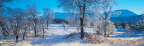 Trossachs National Park, Scotland, United Kingdom von Panoramic Images