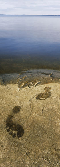 High angle view of wet footprints on a rock, Lake Pielinen, Lieksa, Finland von Panoramic Images