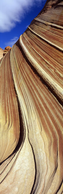 The Wave, Navajo Sandstone Formation, Vermilion Cliffs Wilderness, Arizona, USA by Panoramic Images