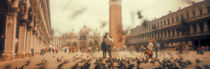 Flock of pigeons flying, St. Mark's Square, Venice, Italy by Panoramic Images