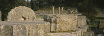 Ruins of a structure, Ancient Olympia, Peloponnese, Greece von Panoramic Images