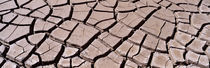 Close-up of cracked mud, South Dakota, USA von Panoramic Images