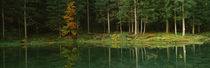 Trees at the lakeside, Dolomites, Cadore, Province of Belluno, Veneto, Italy von Panoramic Images