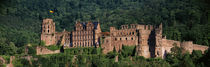 Castle on a hillside, Heidelberg, Baden-Wurttemberg, Germany by Panoramic Images