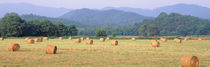 Hay bales in a field, Murphy, North Carolina, USA by Panoramic Images
