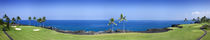 Trees in a golf course, Kona Country Club Ocean Course, Kailua Kona, Hawaii von Panoramic Images