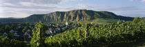 Houses in a town in front of a mountain, Ebernburg, Nahe, Germany von Panoramic Images