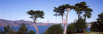  San Francisco Bay, San Francisco, California, USA von Panoramic Images