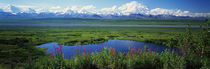 Panorama Print - Denali Nationalpark, Alaska, USA von Panoramic Images