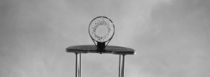 Low angle view of a basketball hoop by Panoramic Images