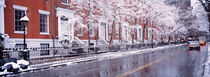  Winter, Snow In Washington Square, NYC, New York City, New York State, USA von Panoramic Images