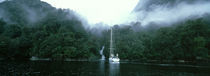 Yacht in the ocean, Fiordland National Park, South Island, New Zealand by Panoramic Images