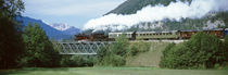Train on a bridge, Bohinjska Bistrica, Slovenia by Panoramic Images