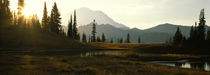 Panorama Print - USA, Washington, Mount Rainier Nationalpark von Panoramic Images