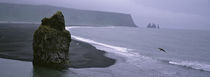  Rock Formation On The Beach, Reynisdrangar, Vik I Myrdal, Iceland von Panoramic Images