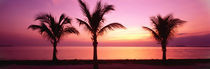 Panorama Print - Miami Beach, Florida, USA von Panoramic Images