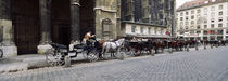 Horsedrawn carriages at a town square, Stephansplatz, Vienna, Austria by Panoramic Images